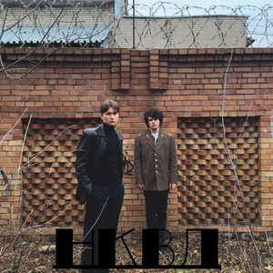 Тараканья мать