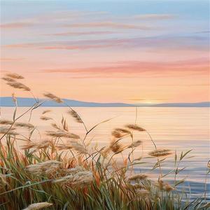 雪花雪花你别笑我