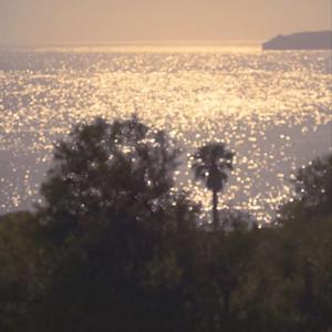 我在人来人往处流浪 草原兄弟