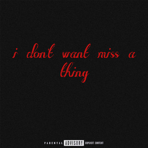 i don't want miss a thing