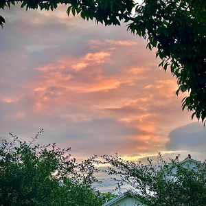 发黄的底片(Prod EVOMUSIC)-20240911-222747(1)