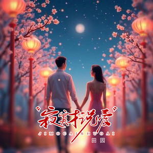 寂寞才说爱 (DJ锋仔版)