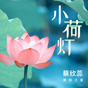 小荷灯