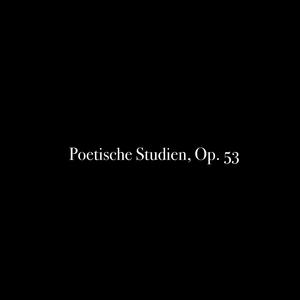 Poetische Studien, Op. 53: 12. Rimprovero