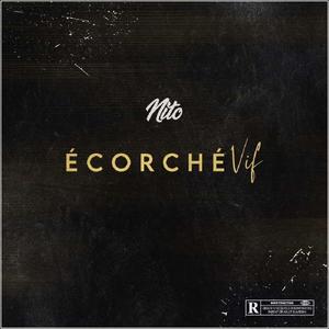 Nos Vies (feat. Fonik Le Gouffre)