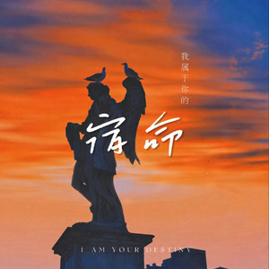 我属于你的宿命