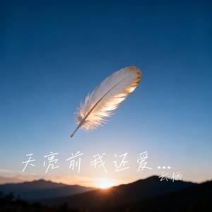 天亮前我还爱你 (Cover 陆晚晴)