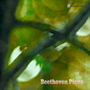 Beethoven : Piano Sonata No. 23 In F Minor, Op. 57, Appassionata III. Allegro Ma Non Troppo - Presto