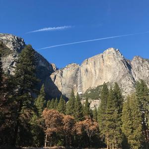 Pink Panther,Blue Diamond!