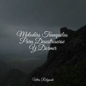 Descansando Junto Al Lago