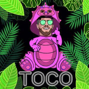Toco