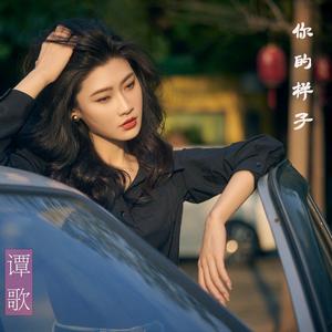 你的样子 (DJ版)