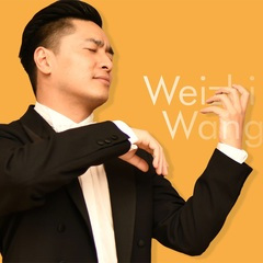 Dance of the Goblins 妖精之舞