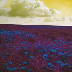 シンデレラボーイ