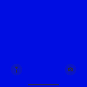 霍乱时期的爱情（pord.by房间里的大象）