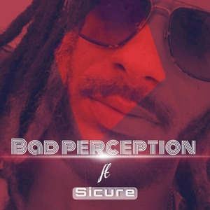 Bad Perception