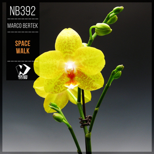 Space Walk (Original Mix)