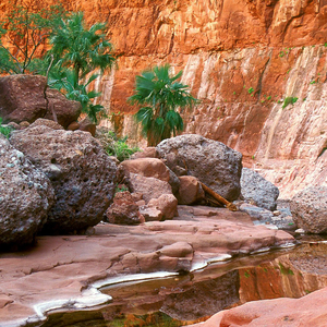 姐妹们给我格局打开