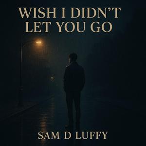 Wish I Didn't Let You Go
