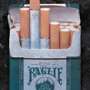 Paglie (feat. cof)