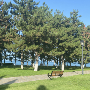 人生若只如初见