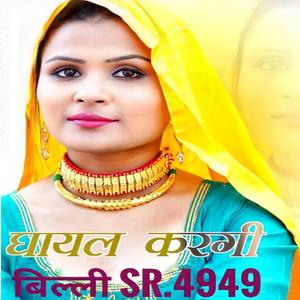 घायल करगी बिल्ली Sr.4949