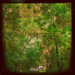 Monte (Too Far Gone)