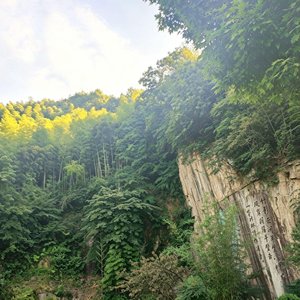 云涧（古筝版）