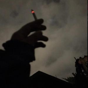 Ne Normalni (не нормально)