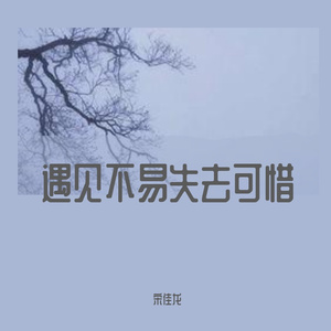 遇见不易失去可惜