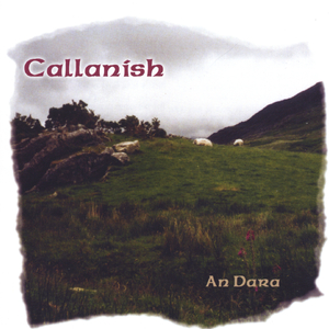 Rakes of Kildare/The Frost is All Over/Saddle the Pony