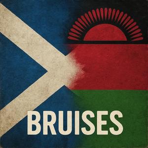 Bruises (feat. Lery & Victoria Nicole)