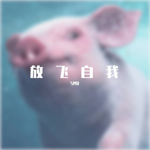 颜王词爽-祝大哥remix（SMD remix）