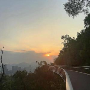 我这一生如履薄冰 (烟嗓版)