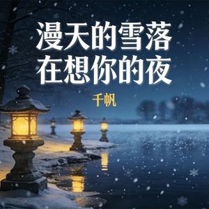 漫天的雪落在想你的夜