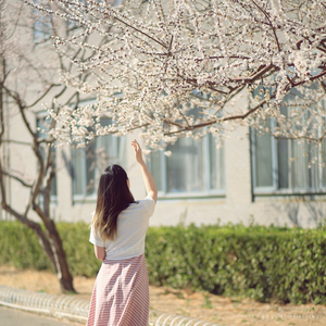 잔잔한 노래 (Spring Ver.)