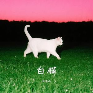 白猫
