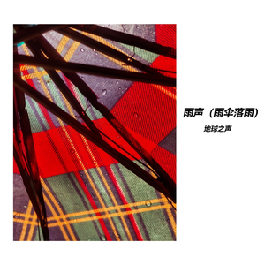 纯雨声（伞下听雨）