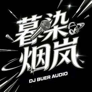 大头针AI - 泪海(上海DJ暮染烟岚 FunkyHouse Rmx 2026)