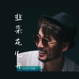 韭菜花儿开（DJ版）