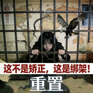 《档案027:矫正失败报告》