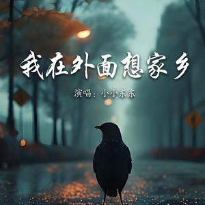 我在外面想家乡