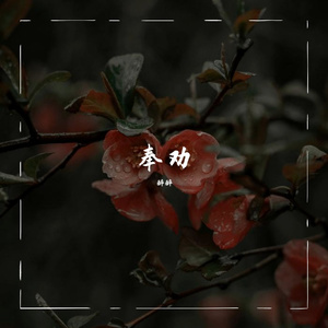 间距（翻自 en）