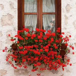 成功就在下一步