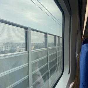 世上没有爱情别再强求