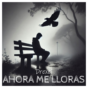 Ahora Me Lloras