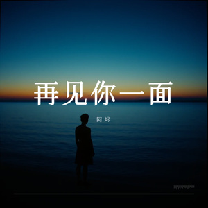 再见你一面