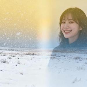 半生风雪半生你