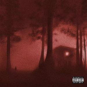 CROW BEFORE DISASTER