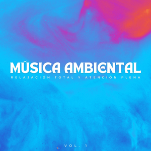 Conexión Equilibrante